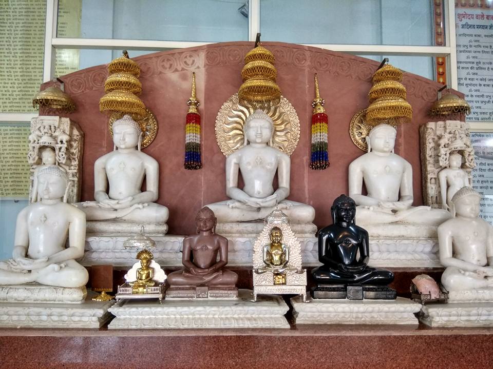 Shri Adinath Digamber Jain Shubhodaya Atishaya Tirth Kshetra, Chachaura-Binaganj, District - Guna (M.P.) thumbnail 3