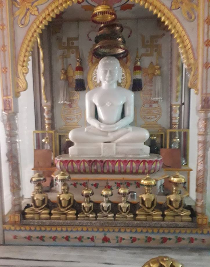 Shri Adinath Digamber Jain Mandir, Choudhary Mohalla, Guna (M.P.) image 1