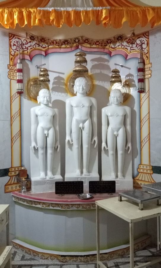 Shri Vardhman Digamber Jain Mandir, Choudhary Mohalla, Guna (M.P.) image 4