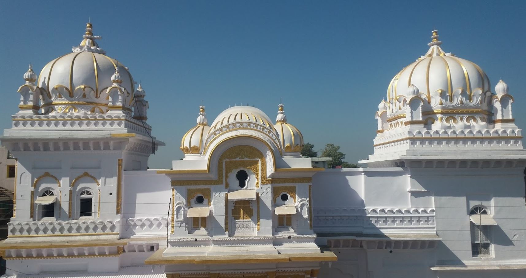 Shri Digamber Jain Mandir, Timarni, District - Harda (Madhya Pradesh) image 1