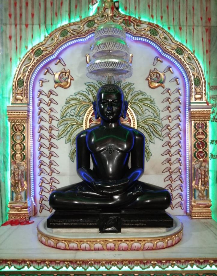 Shri 1008 Adinath Digamber Jain Bada Mandir, Ranapur, District - Jhabua (M.P.) image 8