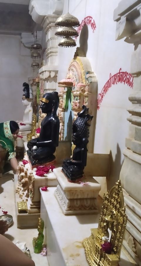 Shri Jain Shwetamber Mandir, Para, District - Jhabua (M.P.) image 2