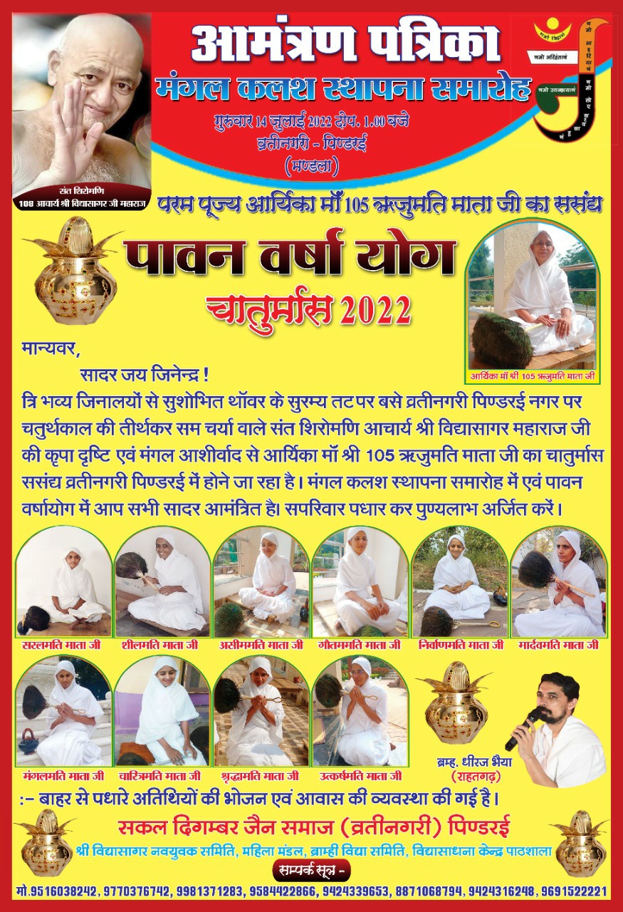 Shri 1008 Chandraprabhu Digamber Jain Mandir, Pindrai, District - Mandla (Madhya Pradesh) image 3