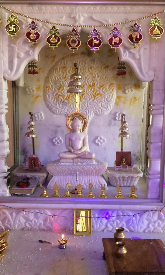 1008 Shri Sheetalnath Digamber Jain Mandir, Ramniwari, District - Narsimhapur (M.P.) image 2