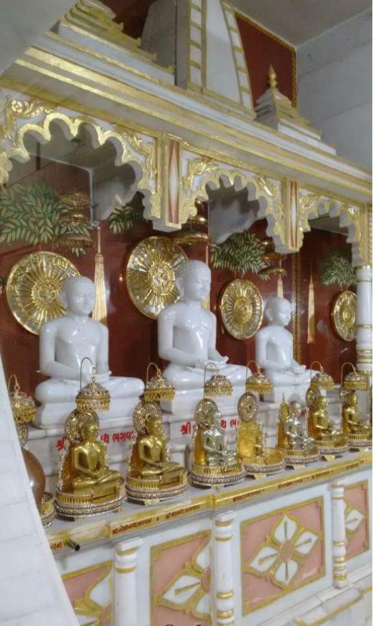 Shri 1008 Bahubali Dham Shri Digamber Jain Tirth, Manasa, District - Neemuch (M.P.) image 3
