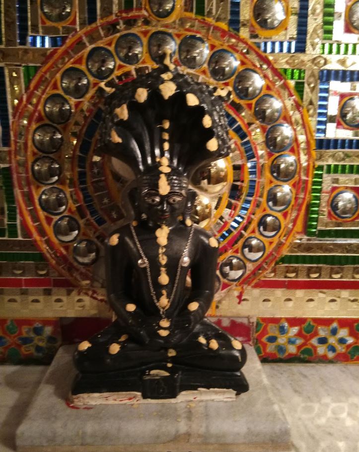 Shri Parshvnath Jain Shwetamber Mandir, Bordiya Kalan, District - Neemuch (M.P.) image 2