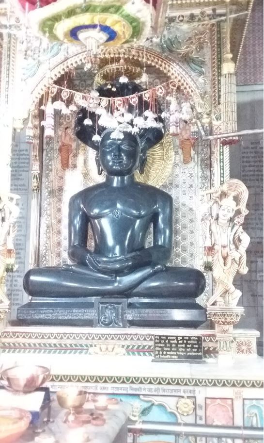 Shri Parshvnath Digamber Jain Mandir, Sultanpur, District - Raisen (M.P.) image 1