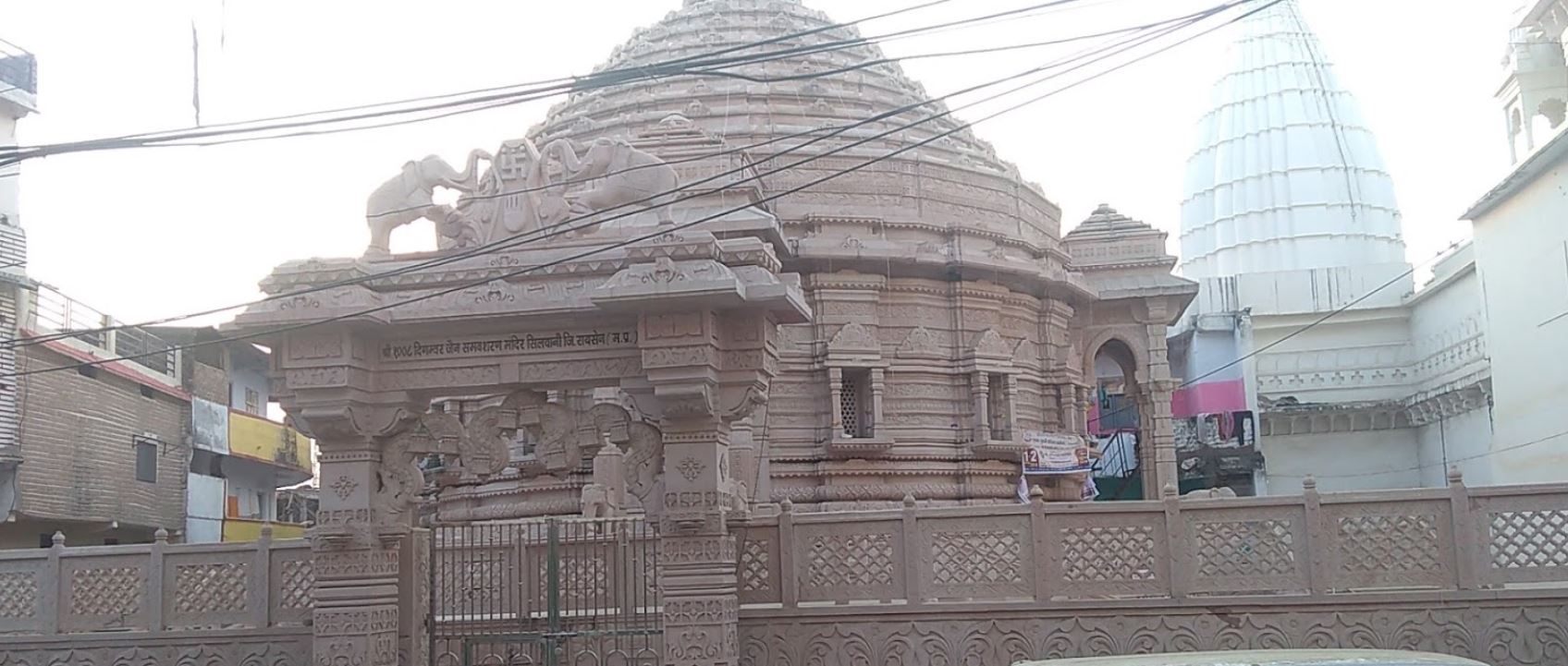 Shri 1008 Digamber Jain Samavsharan Mandir, Silwani, District - Raisen (Madhya Pradesh) image 1
