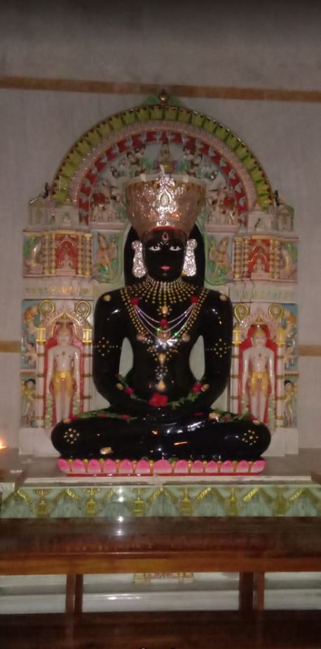 Shri Achanta Jain Tirth, Shri Padamprabh Swami Shwetamber Jain Tirth, Achanta, District - West Godavari (Andhra Pradesh) image 5