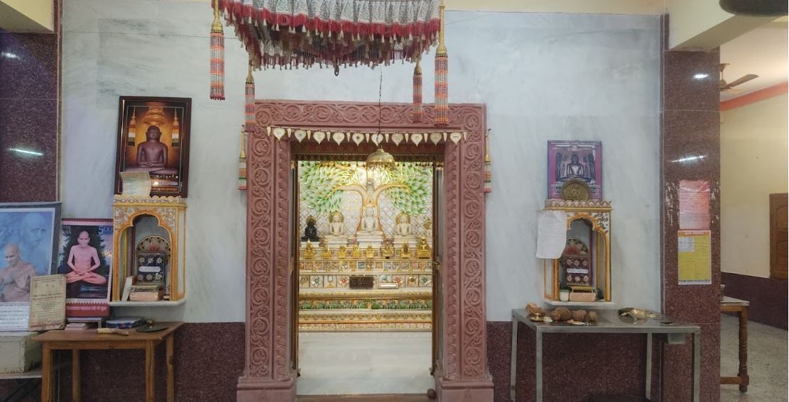 Shri Digamber Jain Mandir, Chhirari, District - Sagar (M.P.) image 3
