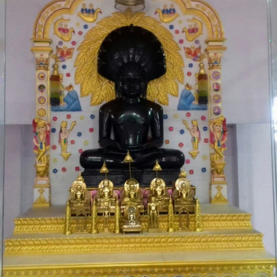 Shri Parshvnath Digamber Jain Mandir, Mehatwara, District - Sehore (M.P.) image 2