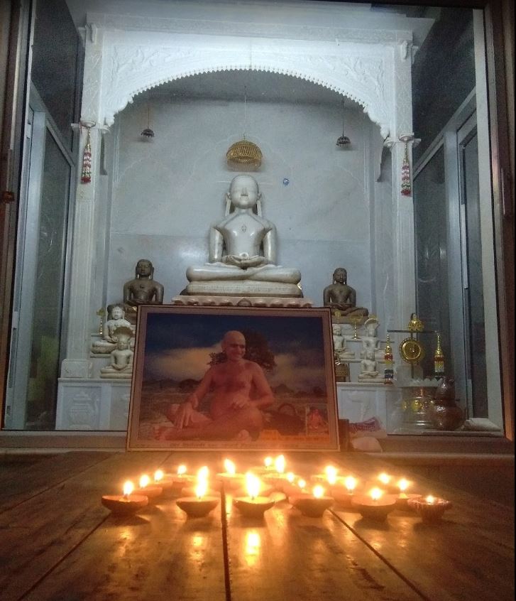 Shri Adinath Digamber Jain Mandir, Achhroni, District - Shivpuri (M.P.) image 3