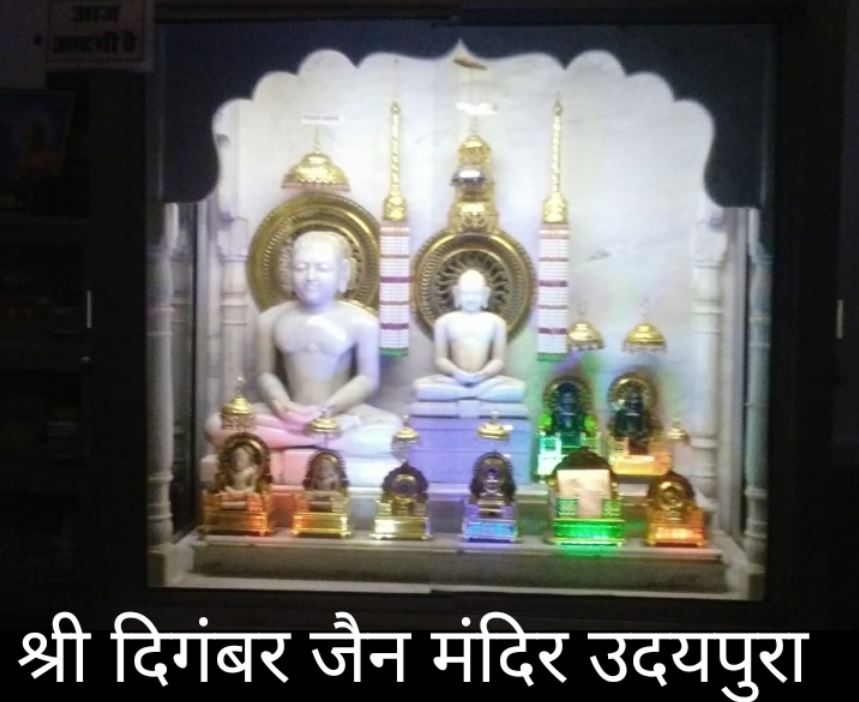 Shri Digamber Jain Mandir, Udaipura Tiwari, District - Sagar (M.P.) image 1