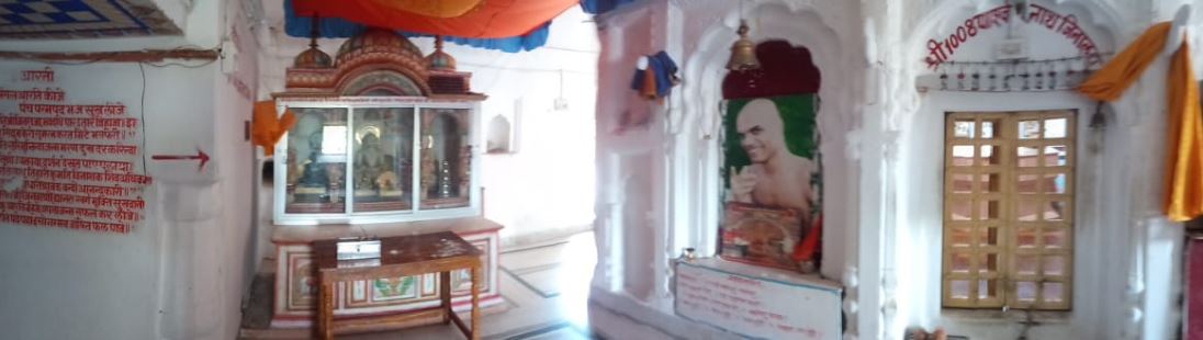 Shri Digamber Jain Mandir, Ramtoriya, District - Chhatarpur (M.P.) image 2