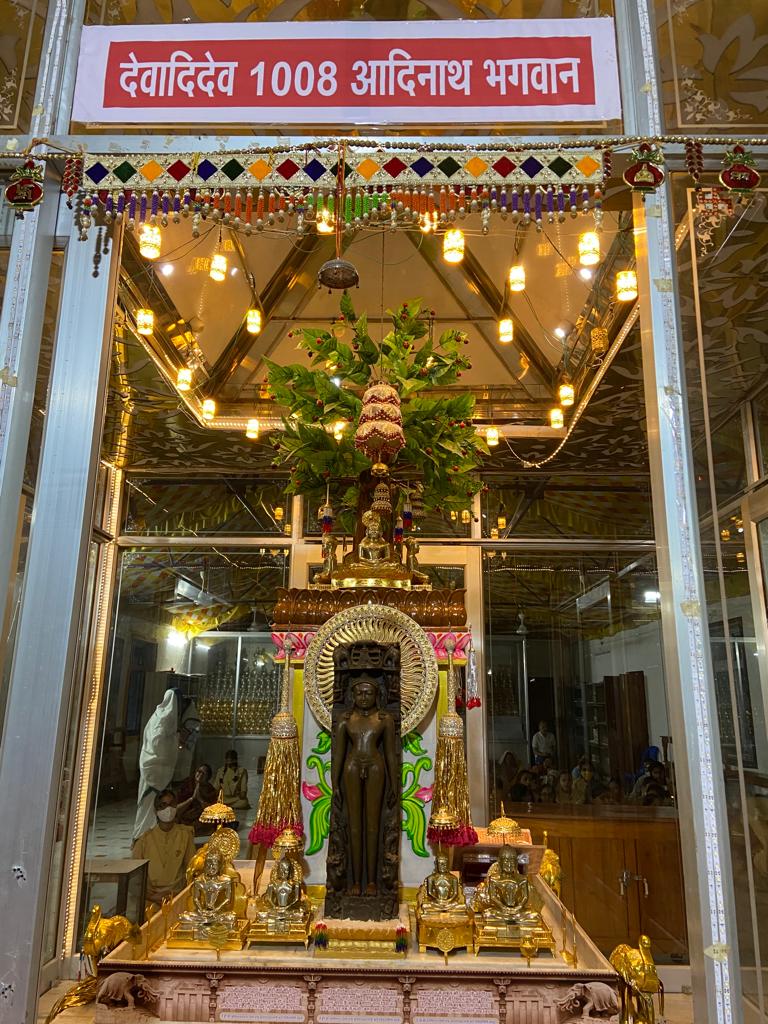 Shri Digamber Jain Mandir, Dayodaya Tirth, Tilwara Ghat, Jabalpur (M.P.) thumbnail 6