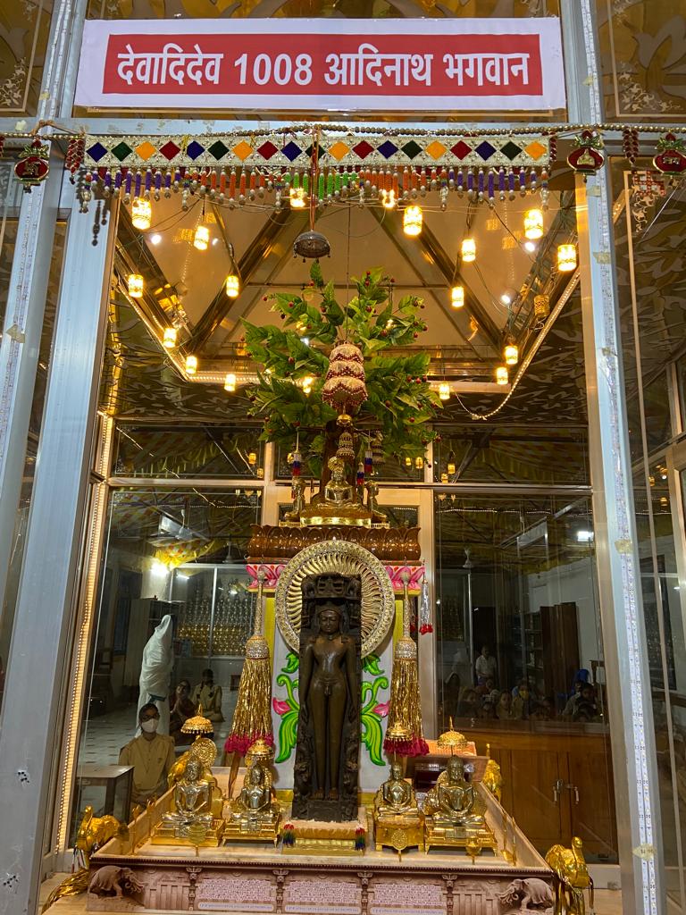 Shri Digamber Jain Mandir, Dayodaya Tirth, Tilwara Ghat, Jabalpur (M.P.) image 7