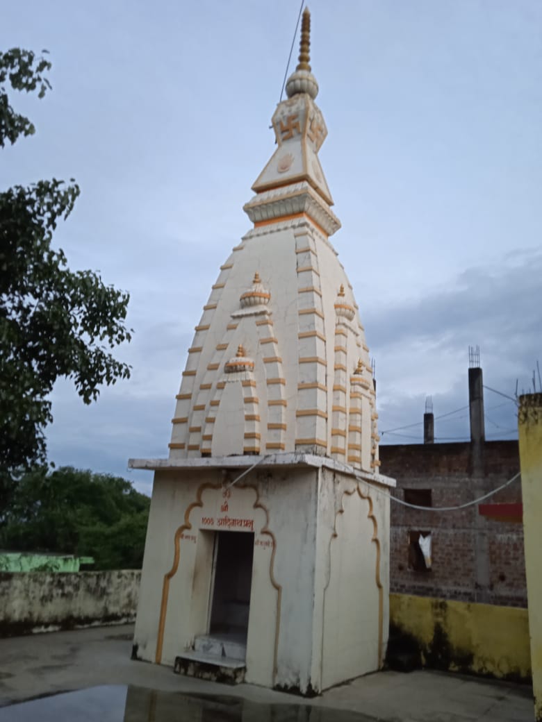 Shri 1008 Neminath Digamber Jain Mandir, Birul Bazar, District - Betul (M.P.) thumbnail 5