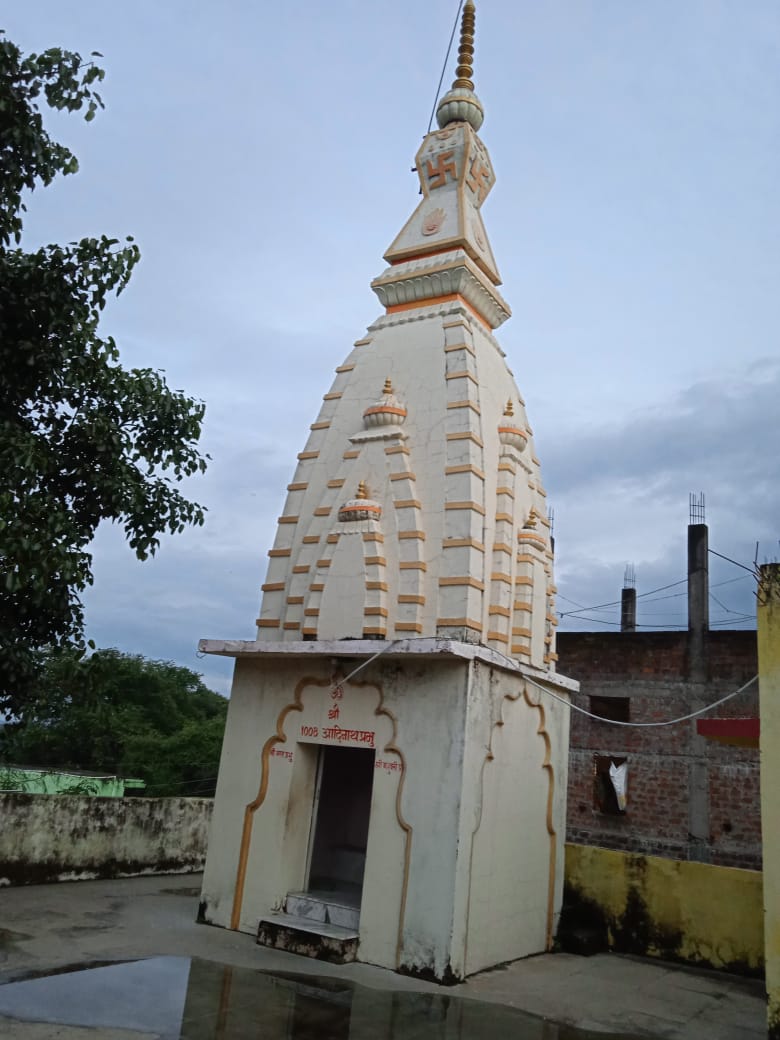 Shri 1008 Neminath Digamber Jain Mandir, Birul Bazar, District - Betul (M.P.) thumbnail 6