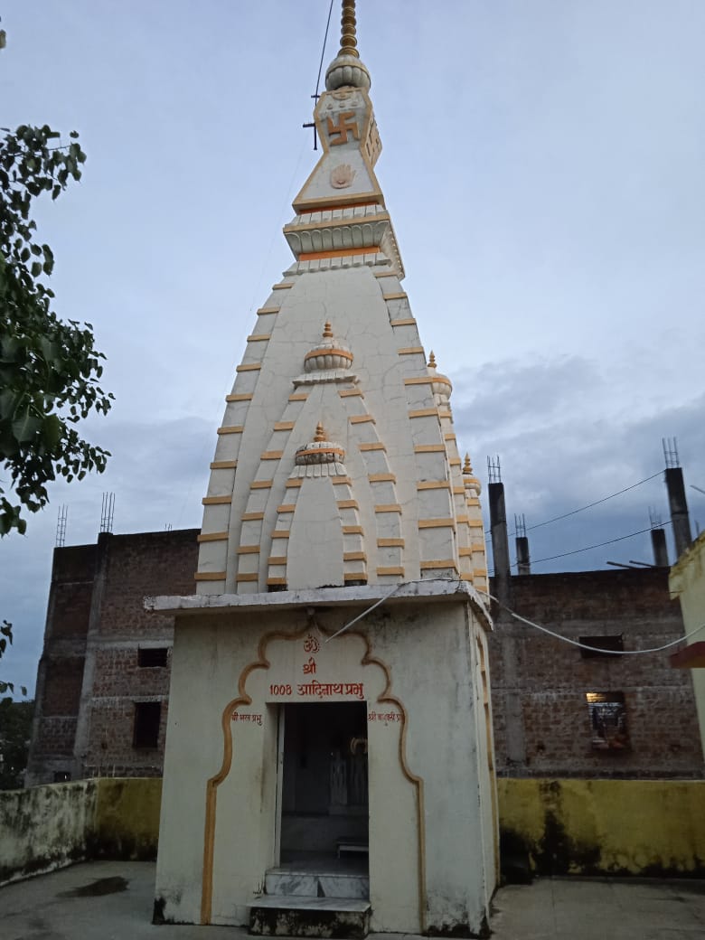 Shri 1008 Neminath Digamber Jain Mandir, Birul Bazar, District - Betul (M.P.) image 7