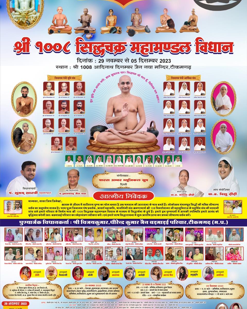 Shri 1008 Adinath Digamber Jain Naya Mandir Ji, Katra Bazar, Tikamgarh (M.P.) image 12