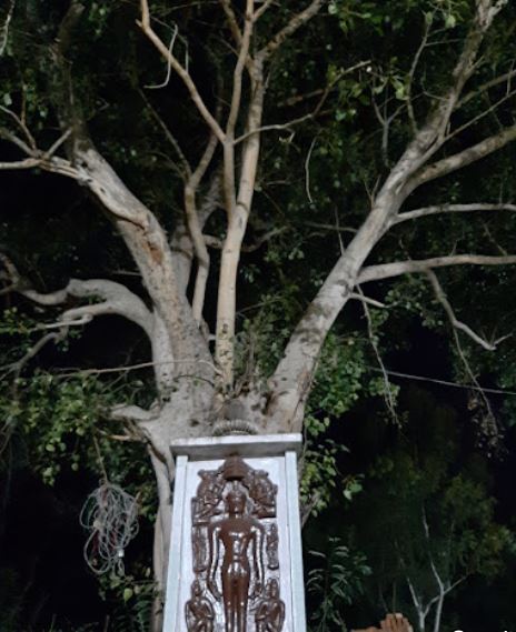 Shri Digamber Jain Atishaya Tirth Kshetra Adishwargiri, Nohta, District - Damoh (M.P.) image 4