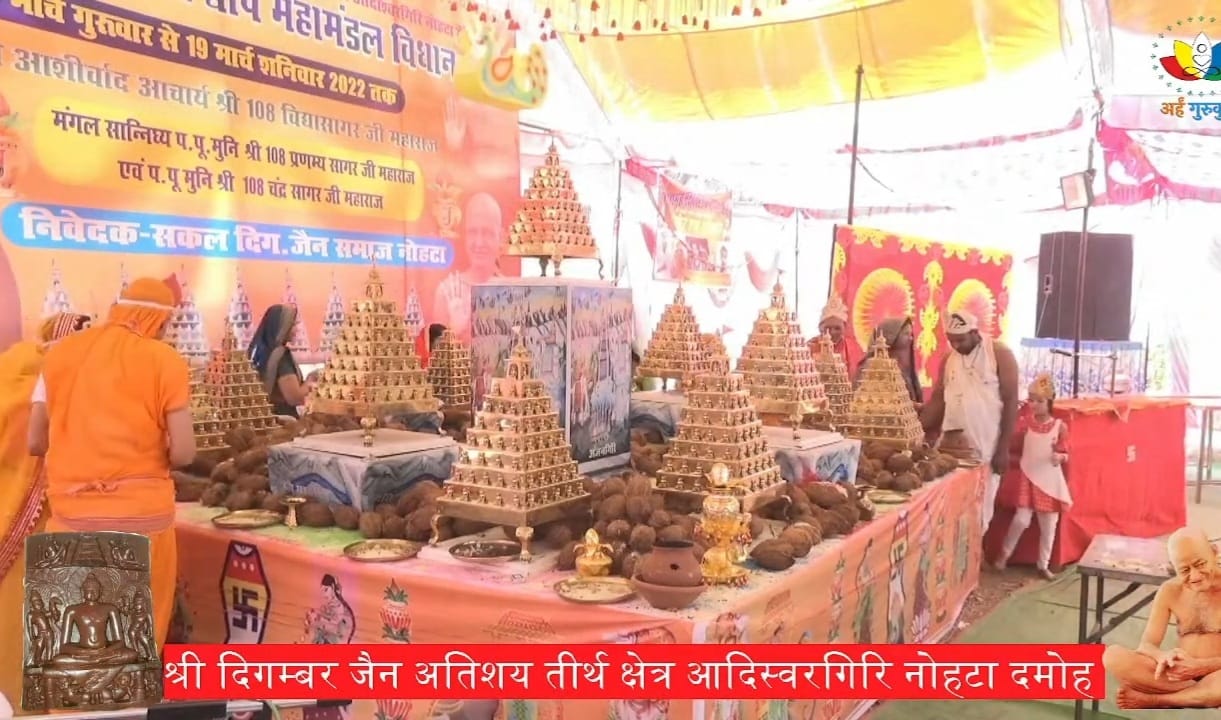 Shri Digamber Jain Atishaya Tirth Kshetra Adishwargiri, Nohta, District - Damoh (M.P.) image 10