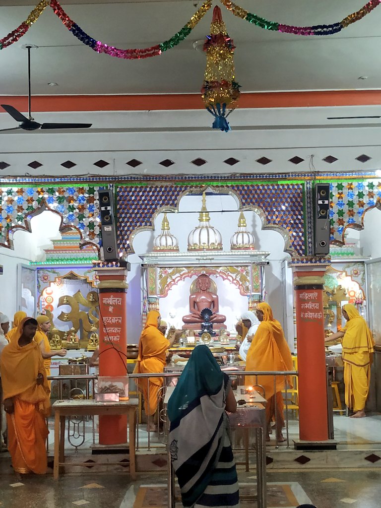 Shri 1008 Bhagwan Mahaveer Swami Digamber Jain Panchayati Mandir, Civil Ward No. 5, Raju Colony, Damoh (M.P.) image 2