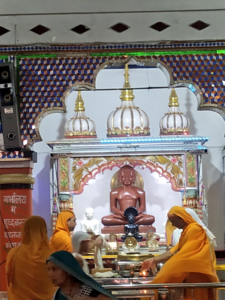 Shri 1008 Bhagwan Mahaveer Swami Digamber Jain Panchayati Mandir, Civil Ward No. 5, Raju Colony, Damoh (M.P.) image 3