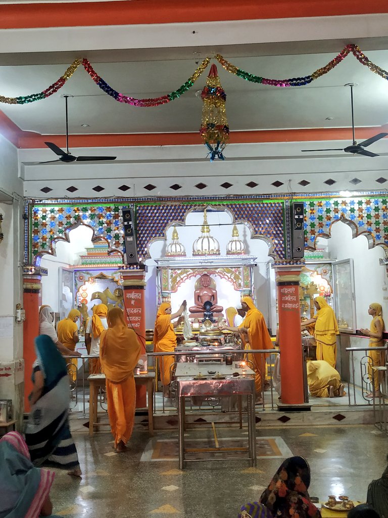 Shri 1008 Bhagwan Mahaveer Swami Digamber Jain Panchayati Mandir, Civil Ward No. 5, Raju Colony, Damoh (M.P.) image 4