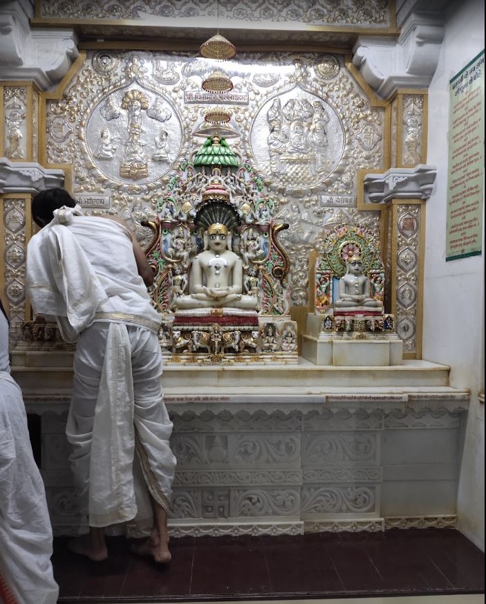 Shri Chintamani Parshvnath Shwetamber Jain Mandir, Shankar Nagar Colony, Shujalpur, District - Shajapur (M.P.) image 3