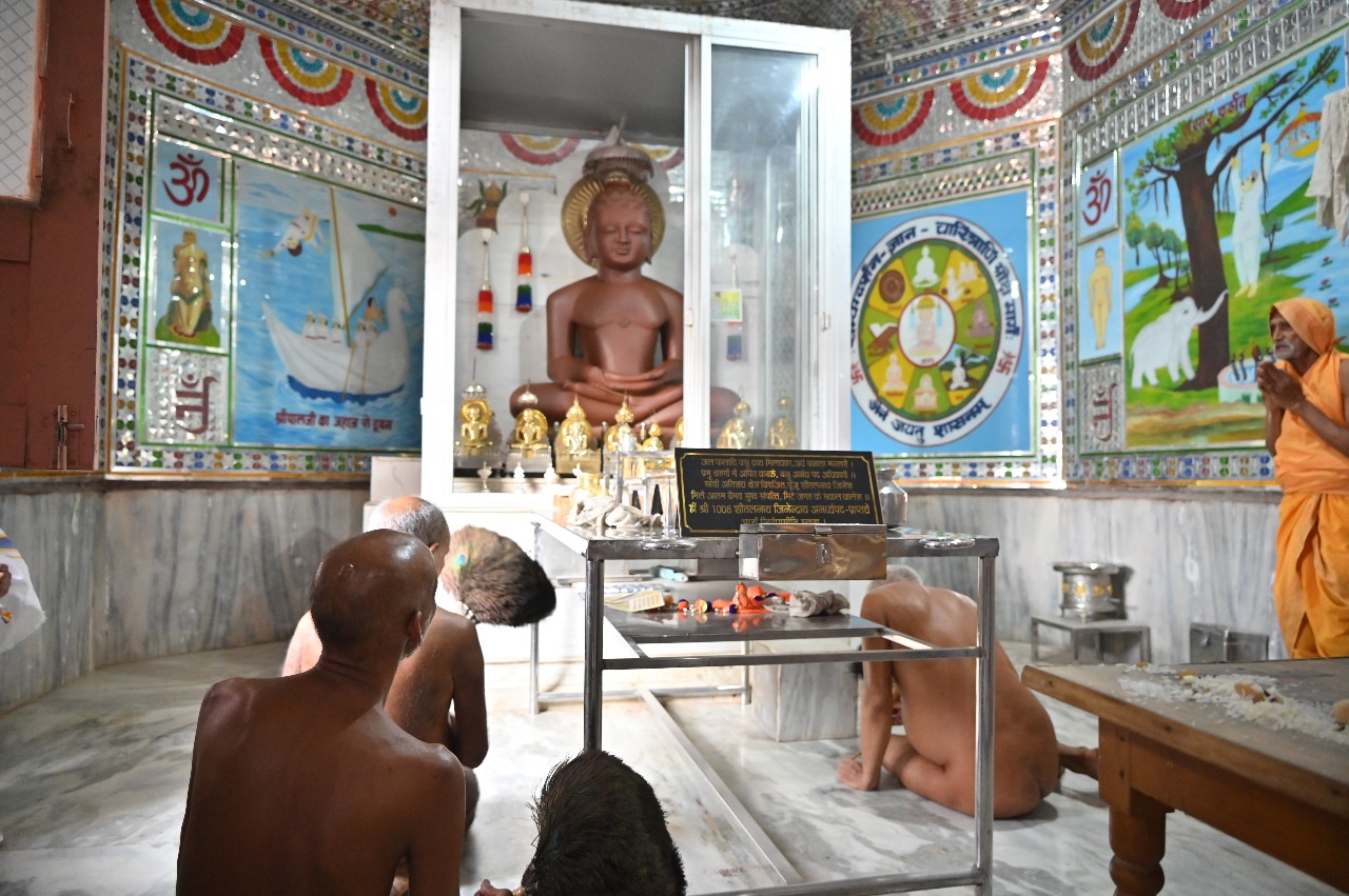 Shri 1008 Sheetalnath Digamber Jain Mandir Atishaya Kshetra, Sanchi, District - Raisen (M.P.) thumbnail 2