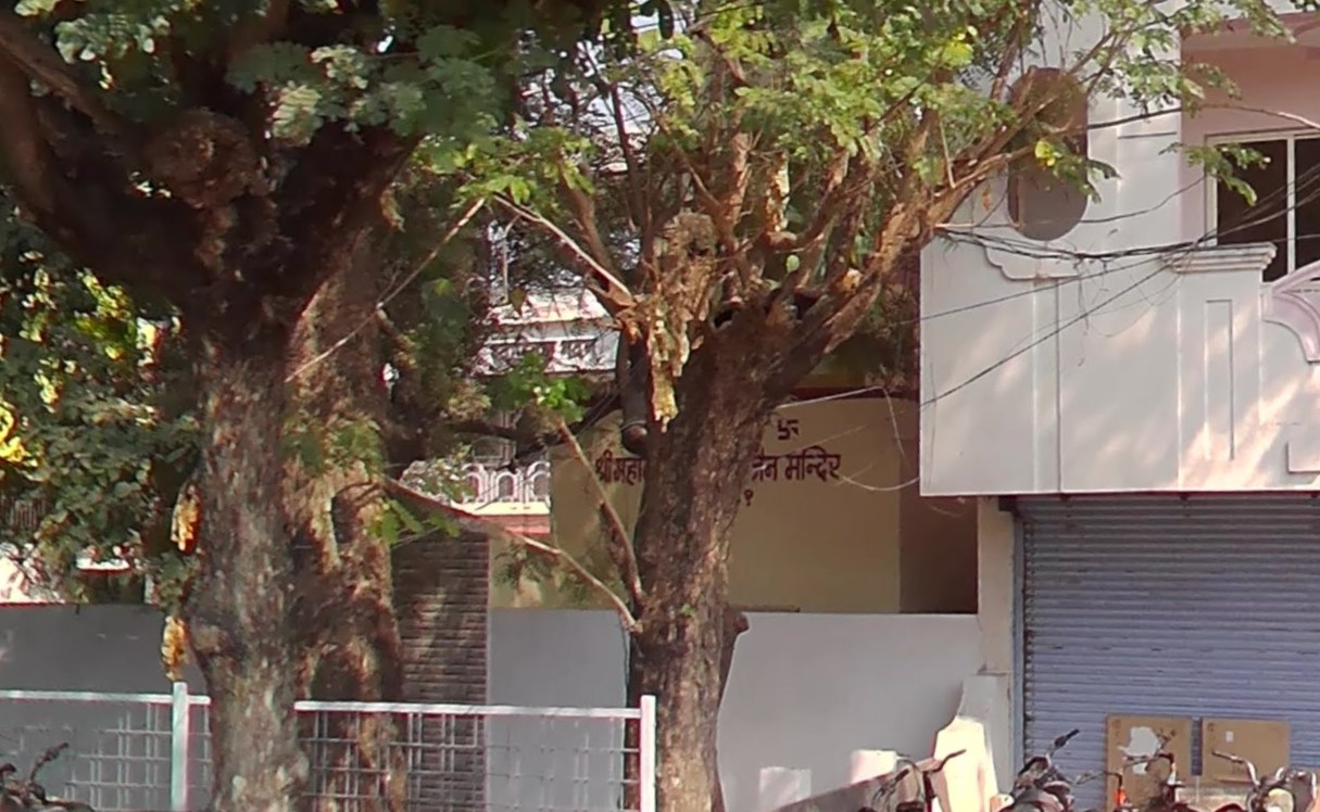 Shri Mahaveer Digamber Jain Mandir, State Bank Colony, Burhanpur (M.P.) main image