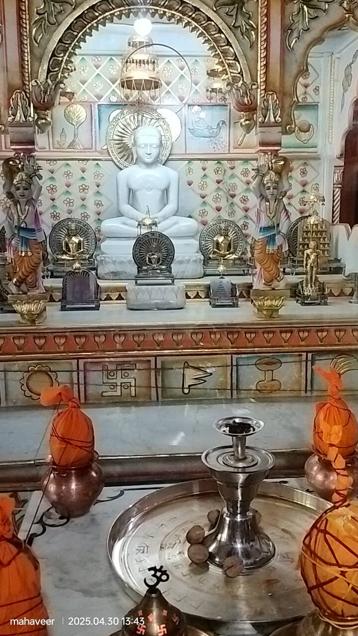 Shri Digamber Jain Mandir, Rishi Galav Lane, Deen Dayal Nagar, Gwalior (M.P.) image 1