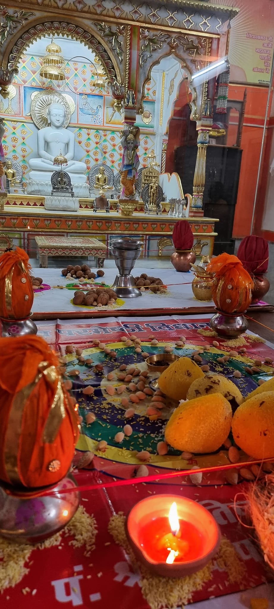 Shri Digamber Jain Mandir, Rishi Galav Lane, Deen Dayal Nagar, Gwalior (M.P.) image 8