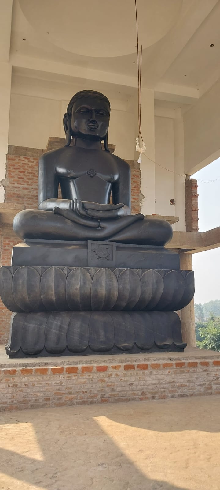 Shri Udarsagar Jankalyan Digamber Jain Tirth, Badagaon, District - Tikamgarh (M.P.) thumbnail 4