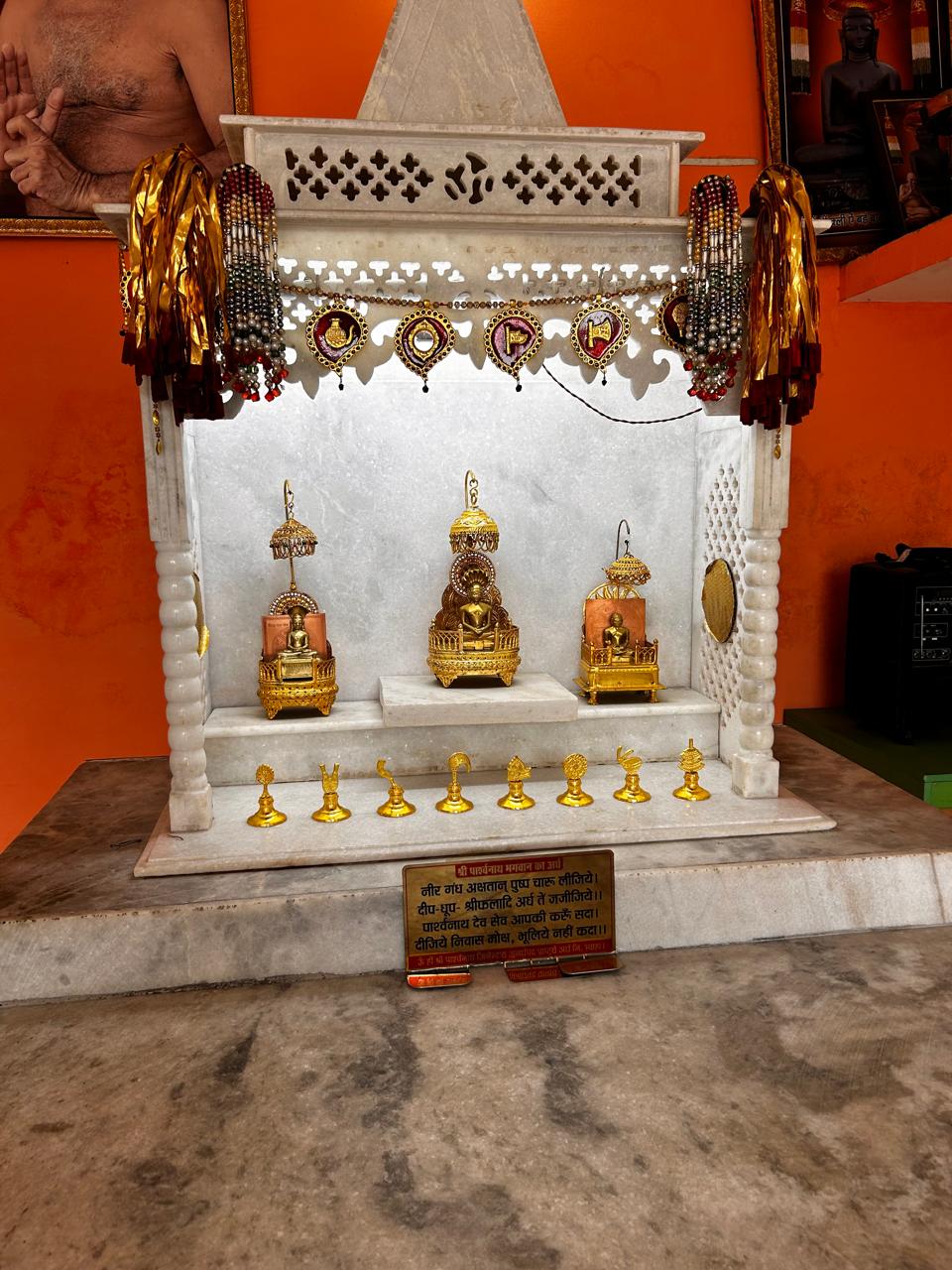 Shri Parshvnath Digamber Jain Mandir, Saliwada, District - Jabalpur (M.P.) main image