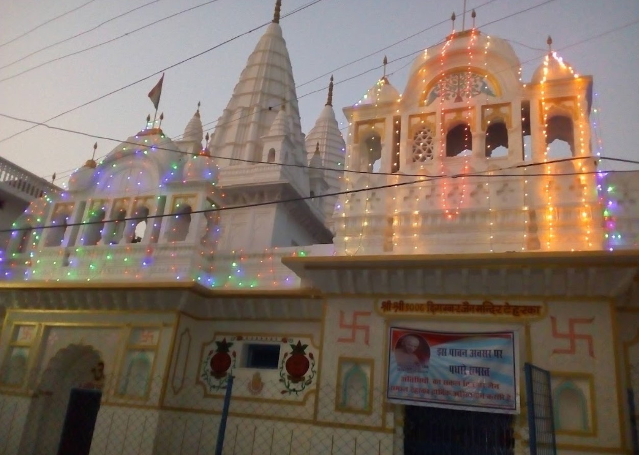 Shri 1008 Digamber Jain Mandir, Teharka, District - Niwari (M.P.) thumbnail 2