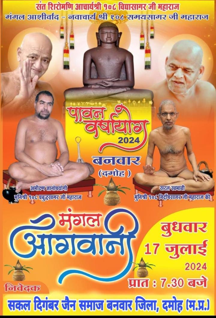 Shri Digamber Jain Mandir, Banwar, Tehsil - Jabera, District - Damoh (M.P.) main image