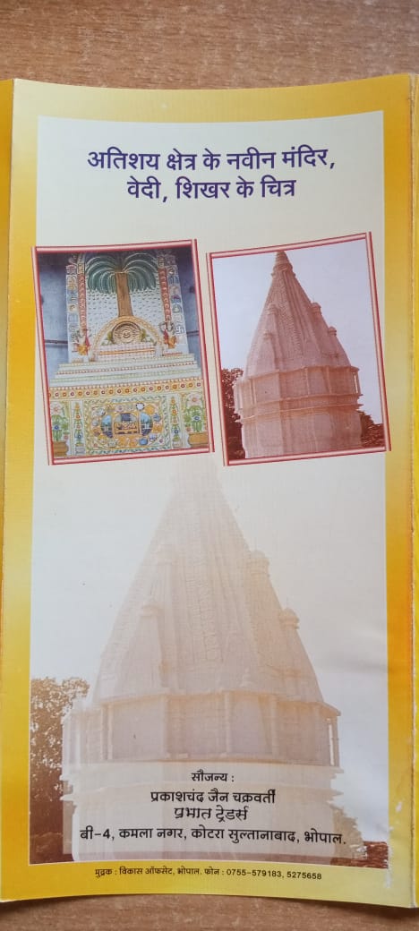 Shri 1008 Parshvnath Digamber Jain Mandir Atishaya Kshetra, Bhonrasa, District - Vidisha (M.P.) image 9