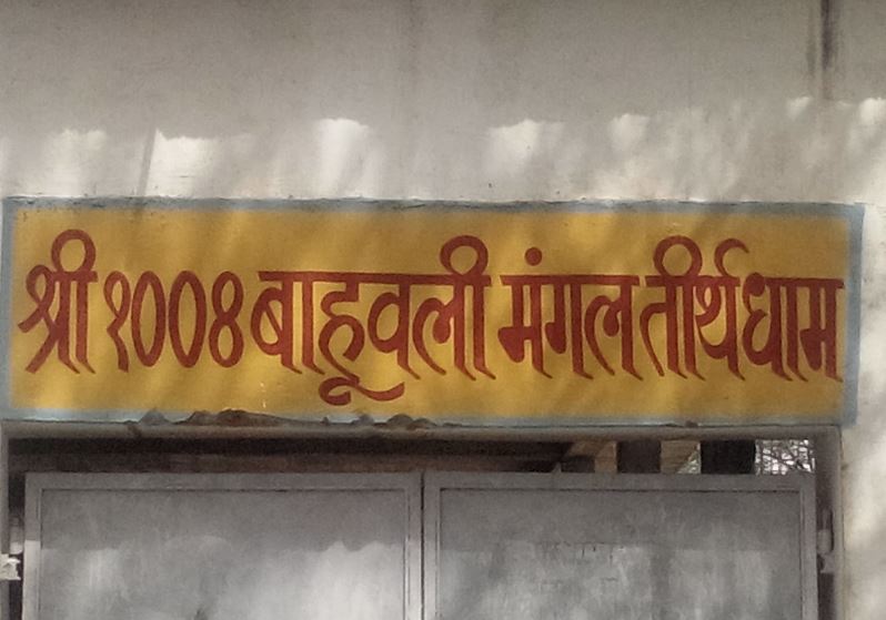 Shri 1008 Bahubali Mangal Tirth Dham, Satyanarayana Tekri, Ghosipura, Gwalior (M.P.) image 2