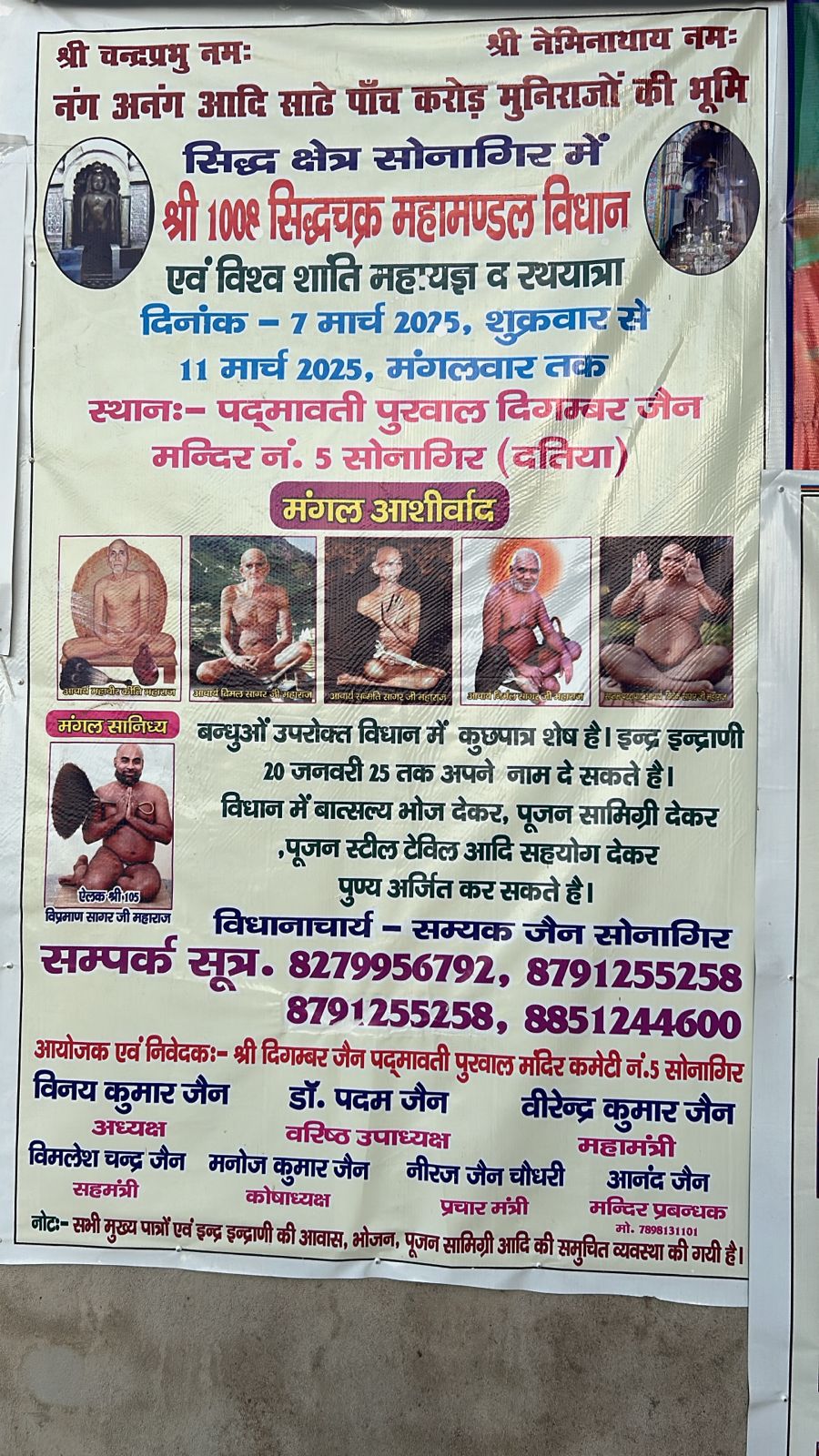 Shri Padmavati Purwal Digamber Jain Mandir, Talhati Mandir No. 5, Sonagiri, Sinawal, District - Datia (M.P.) image 2