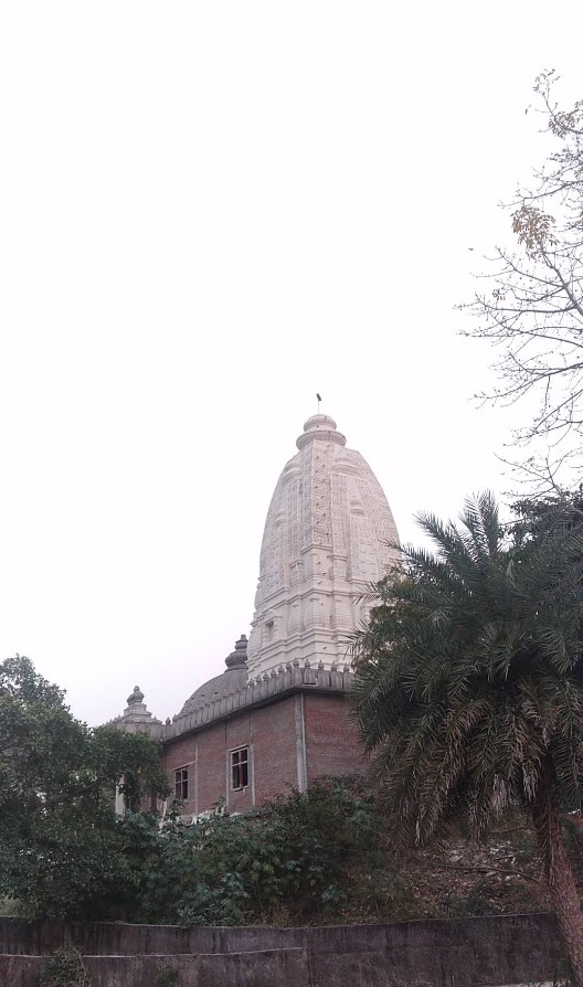 Shantinath Dham, Shri 1008 Shantinath Digamber Jain Jinalaya, Sironja, District - Sagar (M.P.) image 2
