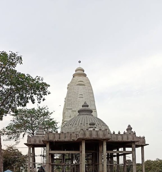 Shantinath Dham, Shri 1008 Shantinath Digamber Jain Jinalaya, Sironja, District - Sagar (M.P.) image 3