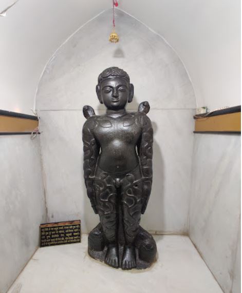Shri Digamber Jain Atishaya Kshetra Nemgiri Sansthan, Jintur, District - Parbhani (Maharashtra) image 6