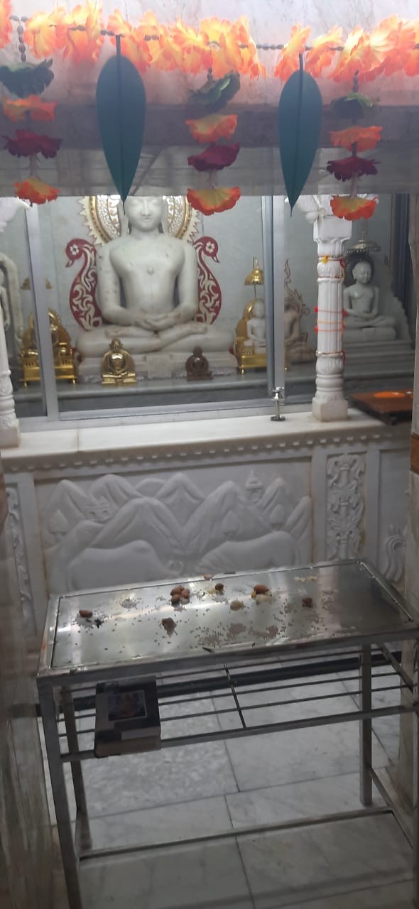 Shri Suparshvnath Digamber Jain Kaanch Mandir, Mahadevpura, Wardha (Maharashtra) image 9