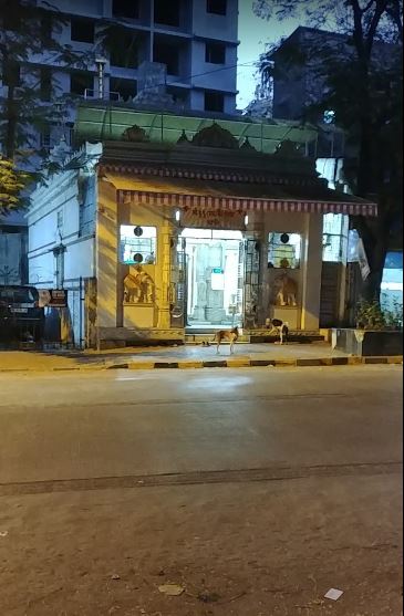 Shri Digamber Jain Mandir, Nesbit Road, Railway Colony, Mazgaon, Byculla, Mumbai (Maharashtra) image 1