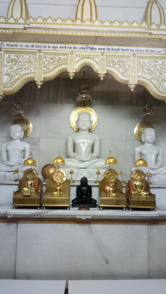 Shri 1008 Rishabhdev Digamber Jin Mandir, Mahavir Society, Manglayatan Society, Mehsana (Gujarat) image 5