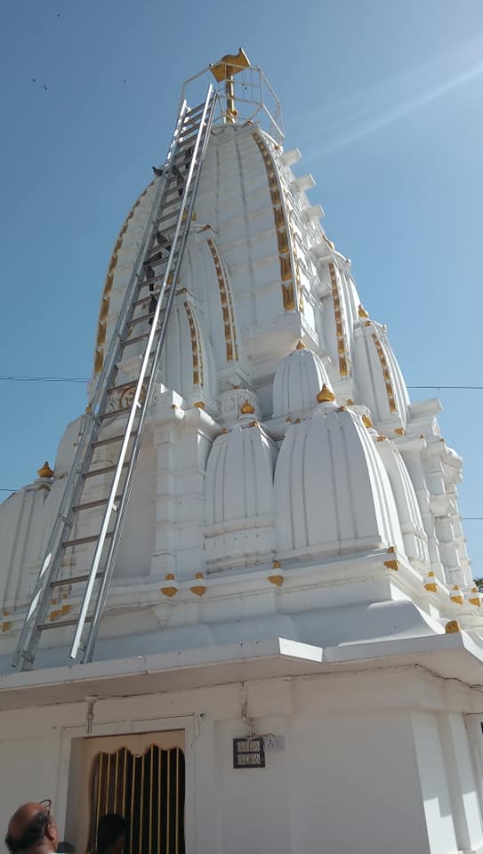 Shri 1008 Rishabhdev Digamber Jin Mandir, Mahavir Society, Manglayatan Society, Mehsana (Gujarat) image 6