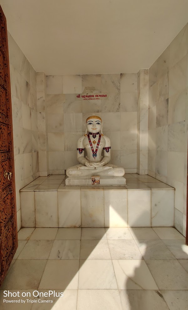 Trimandir, Ahmedabad - Zalod Highway, Opposite FCI, Godhra, District-Panchmahal (Gujarat) image 9