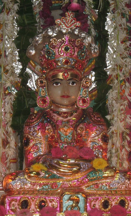 Shri Shwetamber Jain Derasar,  Jorawarnagar, Surendranagar (Gujarat) image 2